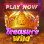 treasure wild