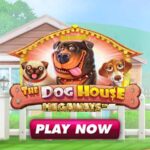 dog house megaways